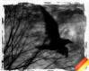 Аватар для nightshadow