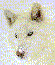Аватар для Ermine